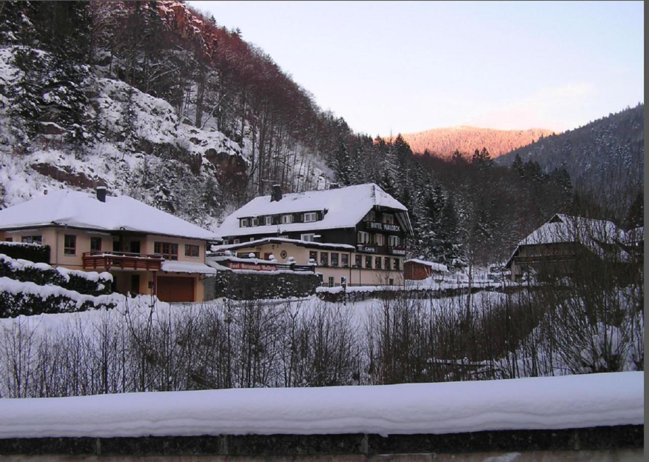 Hotel Waldeck In Todtnau Exterior foto